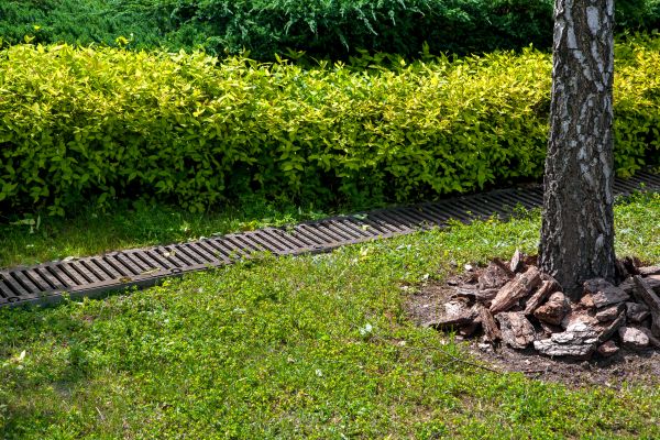 Residential Landscape Drainage in Canonsburg